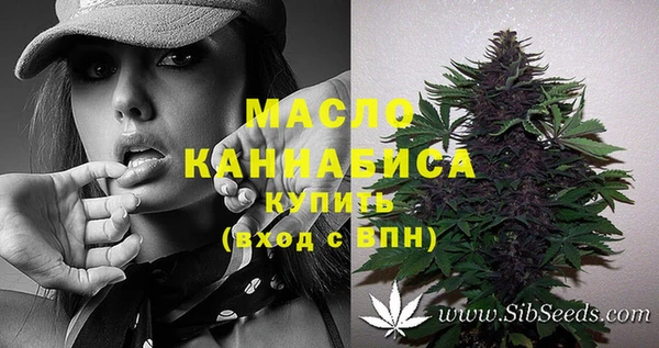 дживик Липки