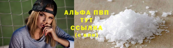 спиды Лиски