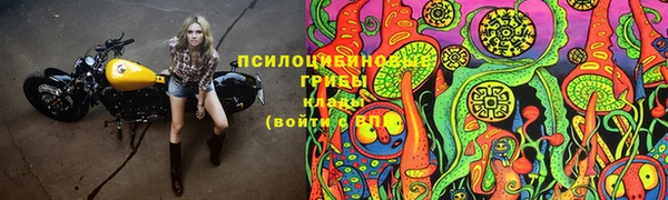 дживик Липки