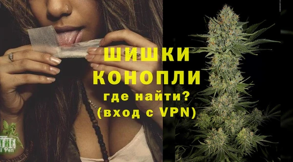 дживик Липки
