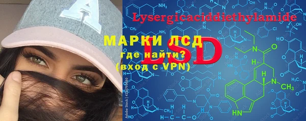 дживик Липки