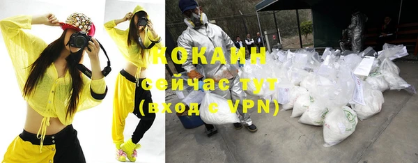 дживик Липки