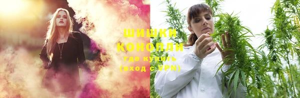 дживик Липки