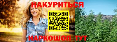 стафф Краснодар